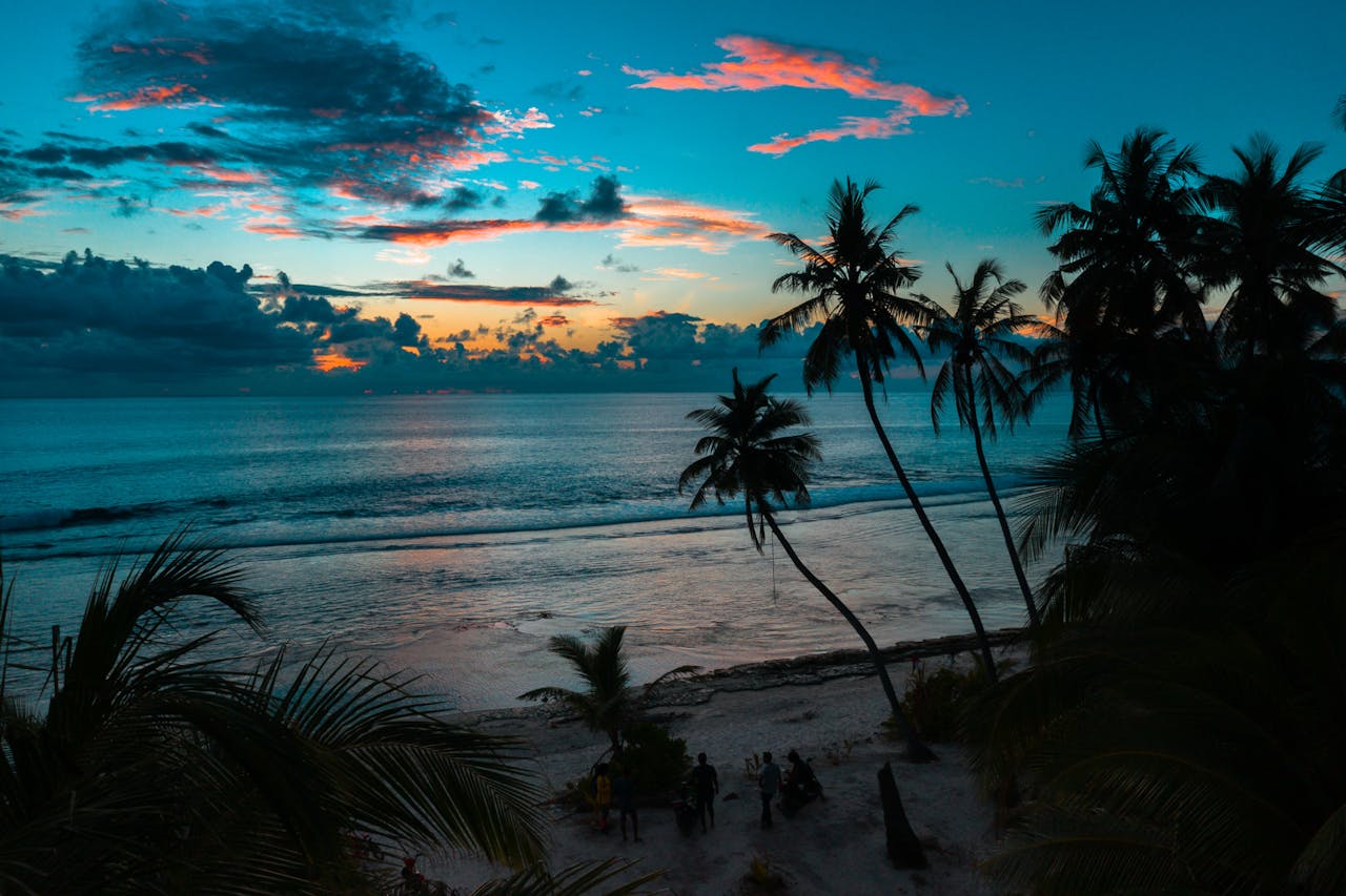 Best Wellness in Florida — 2026 Guide